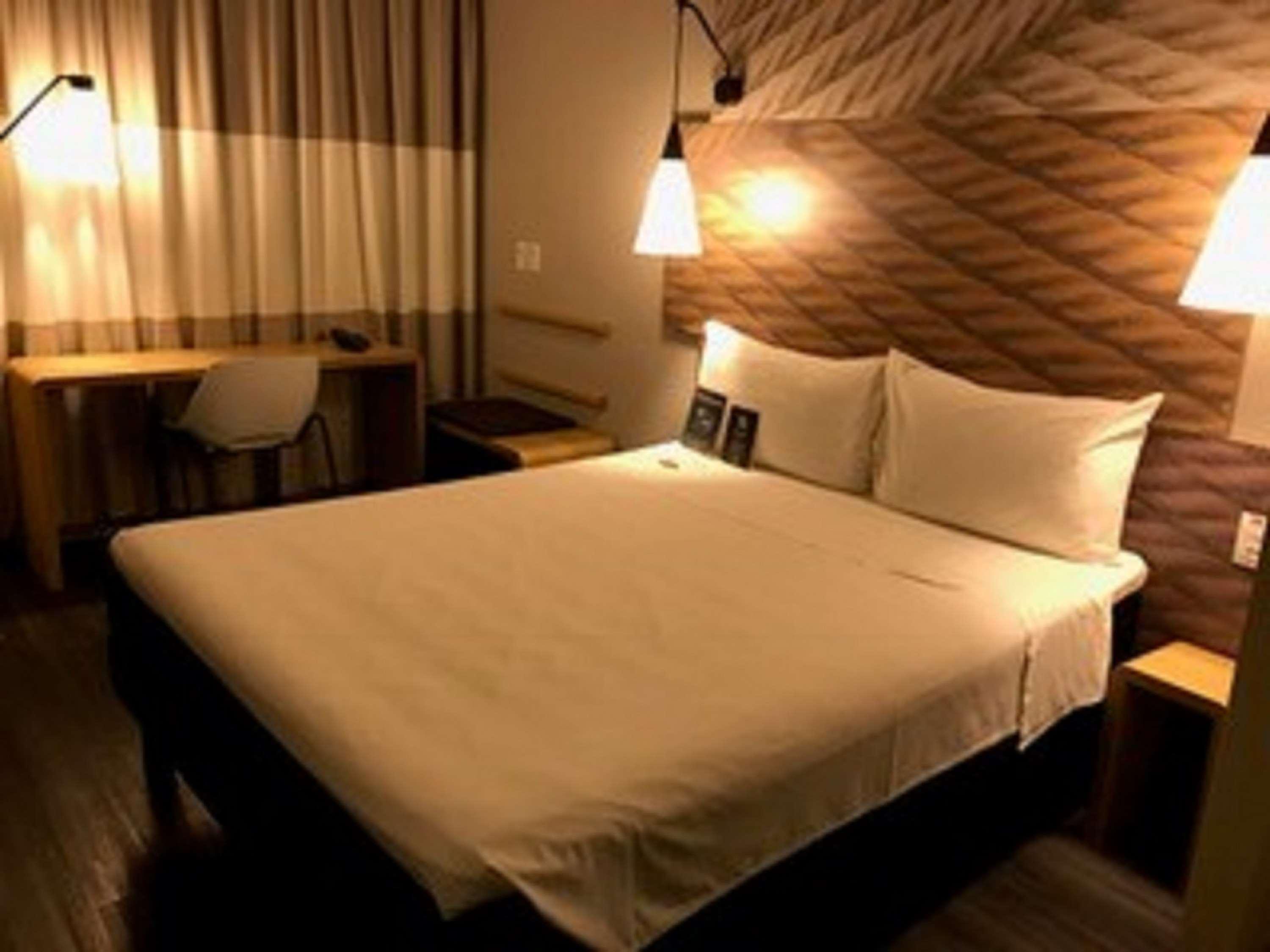 Ibis Navegantes